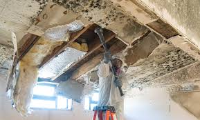 Best Mold Remediation for Healthcare Facilities  in Harbor Isle, NY